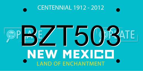 BZT503 New Mexico License Plate