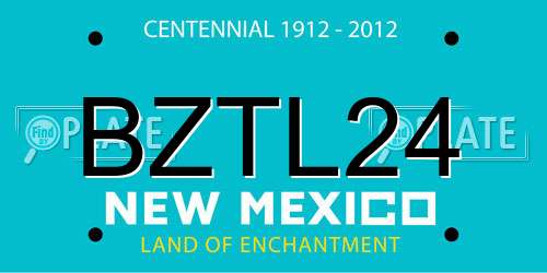 BZTL24 New Mexico License Plate