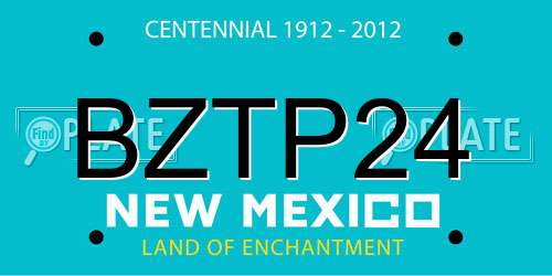 BZTP24 New Mexico License Plate