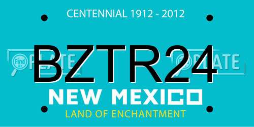 BZTR24 New Mexico License Plate