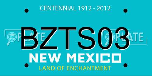 BZTS03 New Mexico License Plate