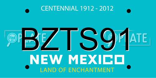 BZTS91 New Mexico License Plate