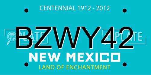 BZWY42 New Mexico License Plate