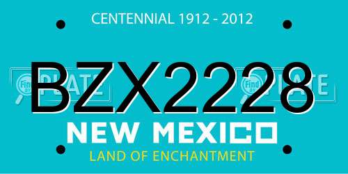 BZX2228 New Mexico License Plate