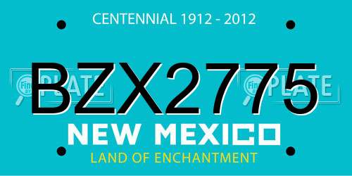 BZX2775 New Mexico License Plate