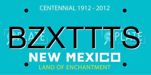 BZXTTTS New Mexico License Plate