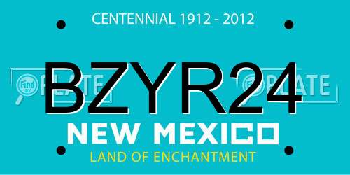 BZYR24 New Mexico License Plate