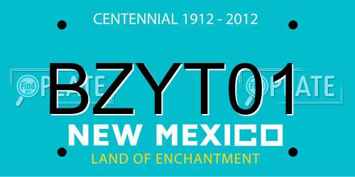 BZYT01 New Mexico License Plate