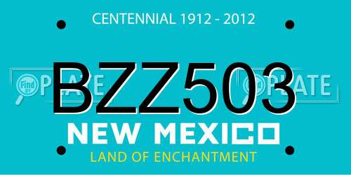 BZZ503 New Mexico License Plate