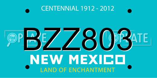 BZZ803 New Mexico License Plate