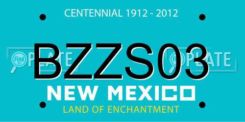 BZZS03 New Mexico License Plate