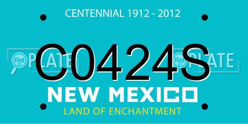 C0424S New Mexico License Plate