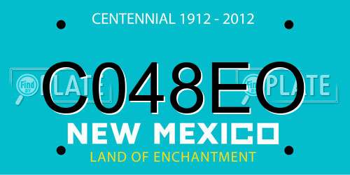 C048EO New Mexico License Plate