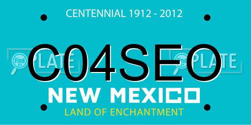 C04SEO New Mexico License Plate