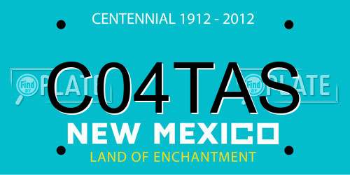 C04TAS New Mexico License Plate