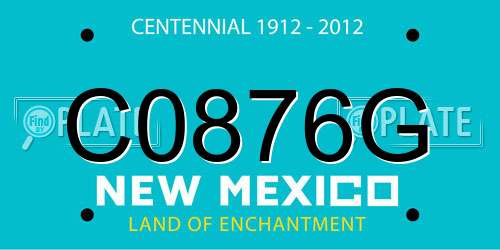 C0876G New Mexico License Plate