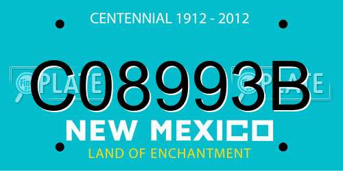 C08993B New Mexico License Plate