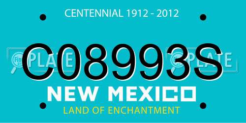 C08993S New Mexico License Plate