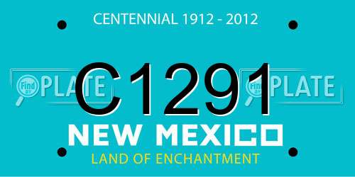 C1291 New Mexico License Plate