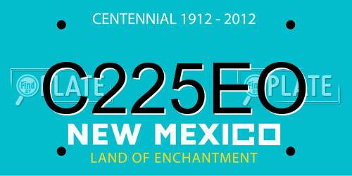 C225EO New Mexico License Plate