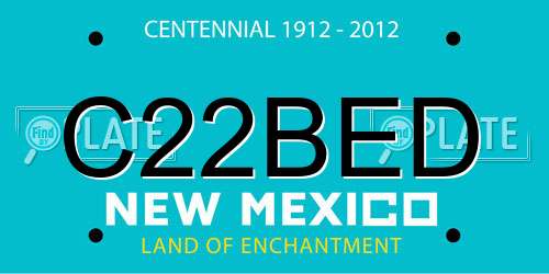 C22BED New Mexico License Plate