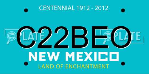 C22BEO New Mexico License Plate