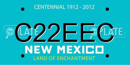 C22EEC New Mexico License Plate