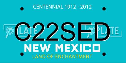 C22SED New Mexico License Plate