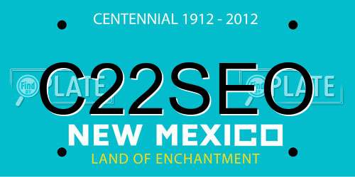 C22SEO New Mexico License Plate