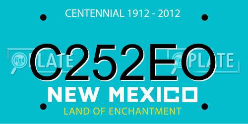 C252EO New Mexico License Plate