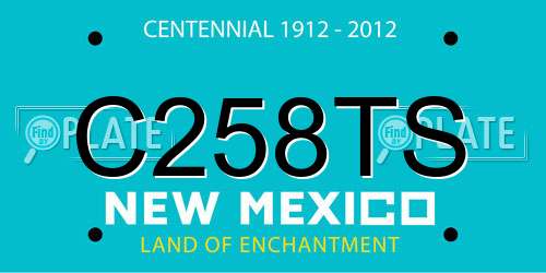 C258TS New Mexico License Plate
