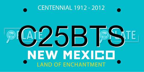 C25BTS New Mexico License Plate