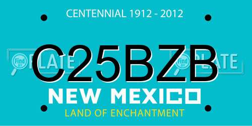 C25BZB New Mexico License Plate