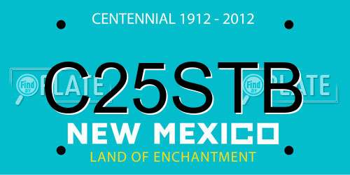 C25STB New Mexico License Plate