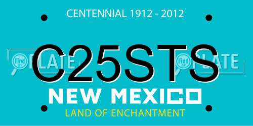 C25STS New Mexico License Plate