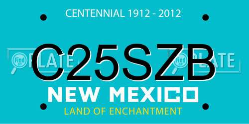 C25SZB New Mexico License Plate