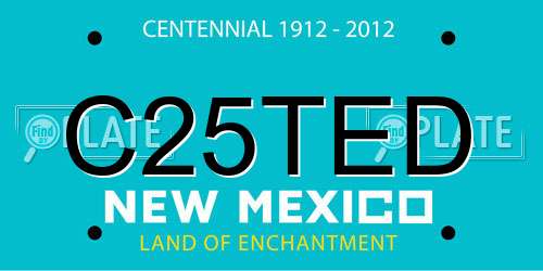 C25TED New Mexico License Plate