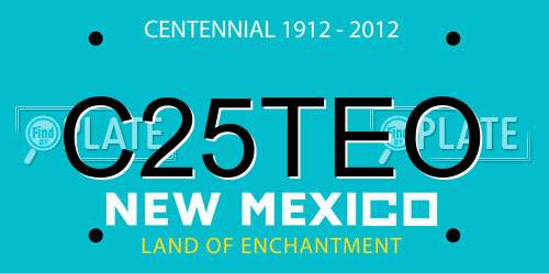 C25TEO New Mexico License Plate