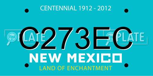 C273EC New Mexico License Plate