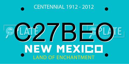 C27BEO New Mexico License Plate