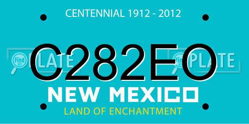 C282EO New Mexico License Plate