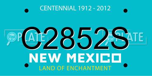 C2852S New Mexico License Plate