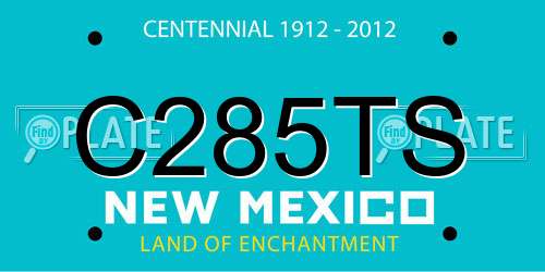 C285TS New Mexico License Plate