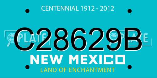 C28629B New Mexico License Plate