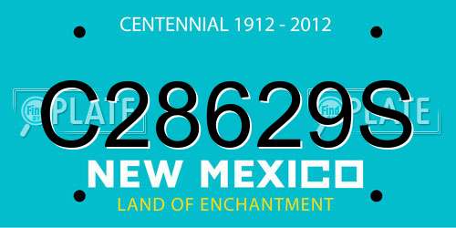 C28629S New Mexico License Plate