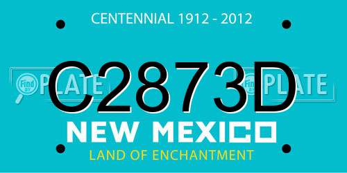 C2873D New Mexico License Plate