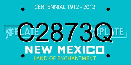 C2873Q New Mexico License Plate