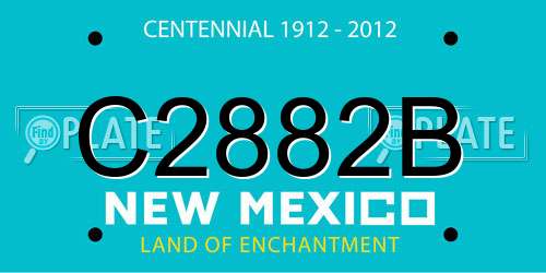 C2882B New Mexico License Plate