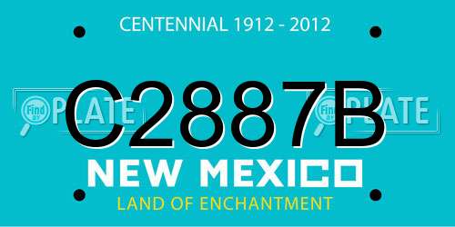 C2887B New Mexico License Plate