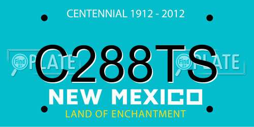 C288TS New Mexico License Plate